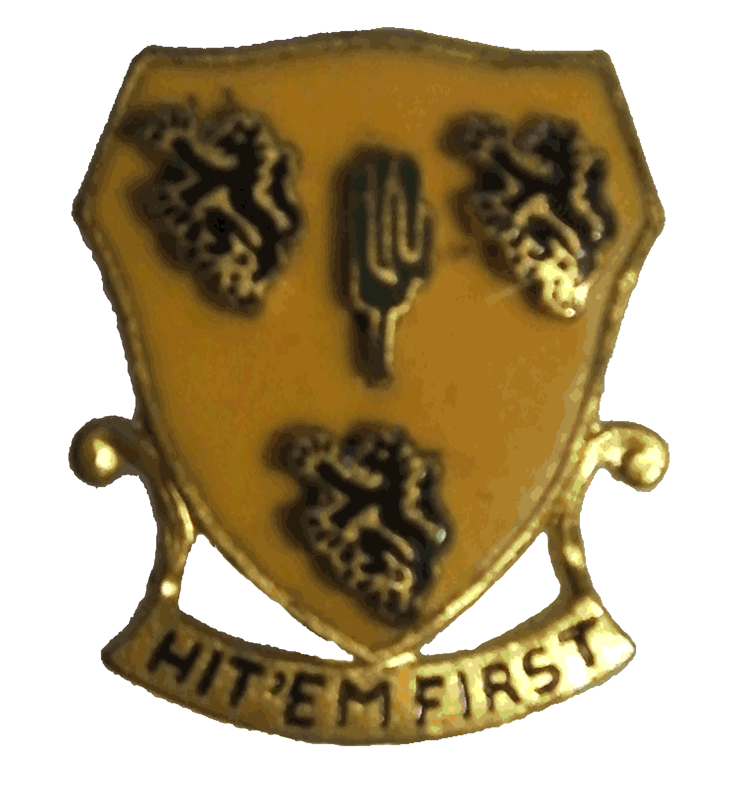 insignia17.gif